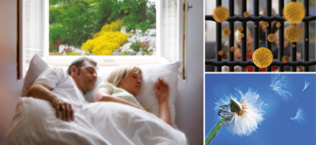 Insektenschutz mit Pollenschutzgewebe Insektenschutz mit Pollenschutzgewebe