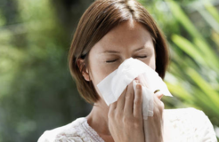 Insektenschutz gegen Pollenallergie Insektenschutz gegen Pollenallergie