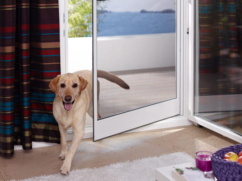 Hundöffnet die Insektenschutzgitter Pendeltür Hundöffnet die Insektenschutzgitter Pendeltür