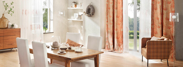 Vorhänge / Karniesen / Dekorationen